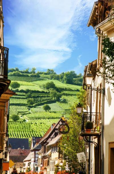 Ancien Mulhouse 101 Apartment Ngoại thất bức ảnh
